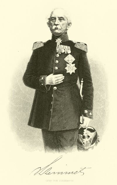 Generál von Steinmetz od German School