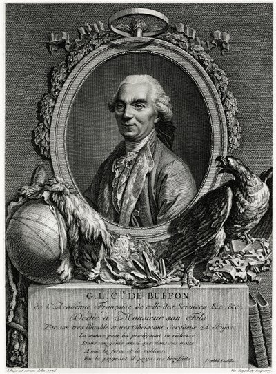 George Louis Leclerc hrabě z Buffonu od German School