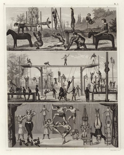 Gymnastika a akrobacie (rytina) od German School