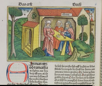 1 Samuel 1:8 Elkanah utěšuje Hannah, z norimberské bible (Biblia Sacra Germanaica) (barevný dřevoryt) od German School