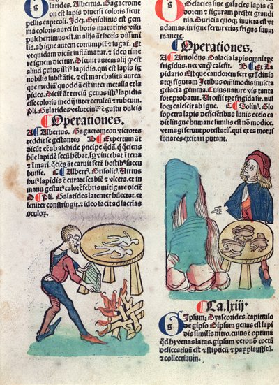 Ilustrovaná stránka z Hortus Sanitatis, 1491 (barevný dřevoryt) od German School