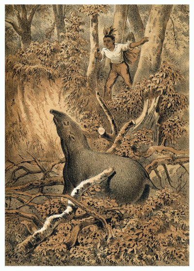 Ilustrace, indický lov tapírů v amazonském lese. V “” De Bootslieden der Amazon-River””, Karl Muller, Nizozemsko od German School