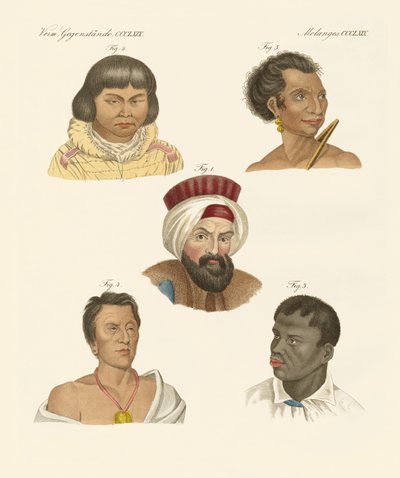 Ilustrace hlavních lidských ras od German School