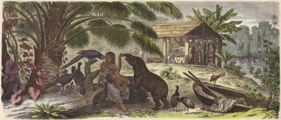 Indiánský dům na řece Orinoco (barevná rytina) od German School