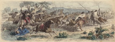 Indiáni překvapující Gauchos na Pampách a odjíždějící se svým stádem dobytka (barevná rytina) od German School