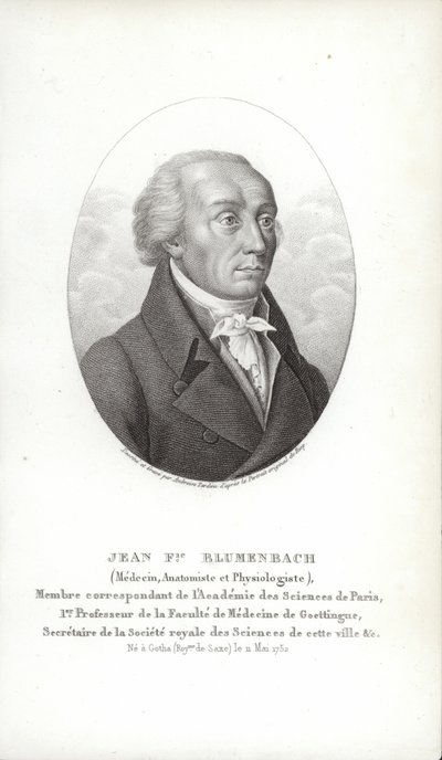 Johann Friedrich Blumenbach od German School