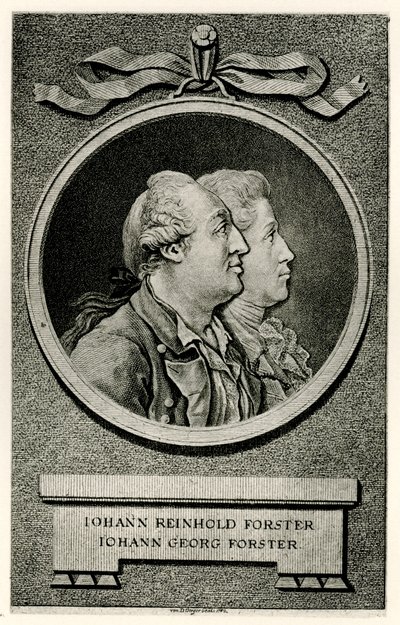 Johann Georg Forster od German School