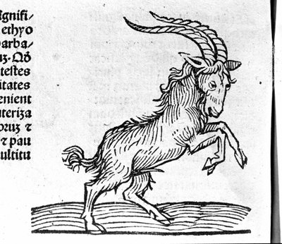 Le Capricorn - v Pojednání Johna Angela o velkých spojeních let a jejich revolucích. Augsburg, Erhard Ratdolt od German School