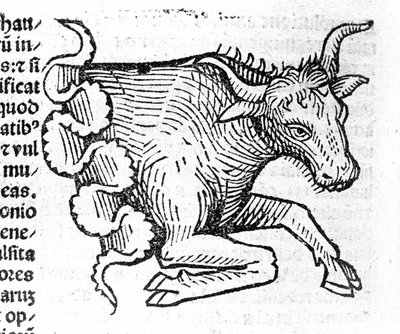 Le Taurus - v pojednání Johna Angela o velkých spojeních let a jejich revolucích. Augsburg, Erhard Ratdolt od German School