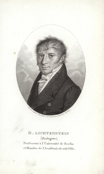 Martin Lichtenstein od German School