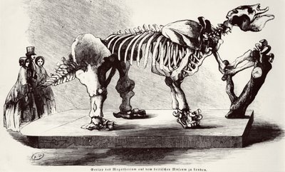 Megatherium Skeleton v Britském muzeu od German School