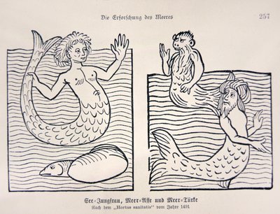 Mořská panna a Mořan z Hortus Sanitatis Jacoba Meydenbacha od German School