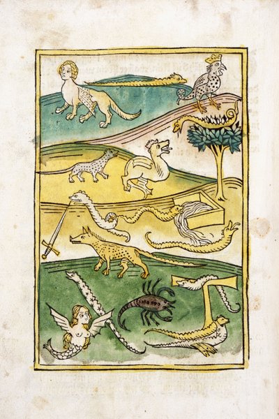 Monstra a hadi v krajině, 1478 od German School