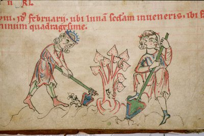 Ms 54 f.37 Únor: Cisterciácký žaltář (pergamen) od German School
