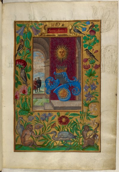 Paní Harley 3469, f.2 Dvě zlatá slunce, z 