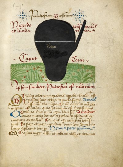 Paní Sloane 2560, f.8 z Alchymistických pojednání, konec 15. století (vellum) od German School
