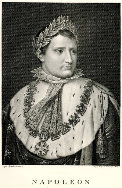 Napoleon I., 1884-90 (fototyp) od German School