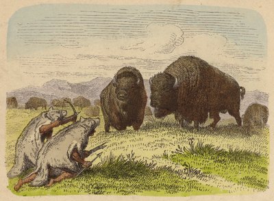 Domorodí Američané s vlčí kůží loví buvoly (barevná rytina) od German School