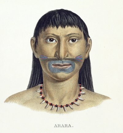 Domorodý muž z kmene Arara s modrou barvou obličeje, z Atlasu cesty v Brazílii od Johanna Baptista von Spix (1781-1826) a Karla Friedricha Philippa Martiuse (1794-1868), vydáno kolem 1835-50 (barva od German School