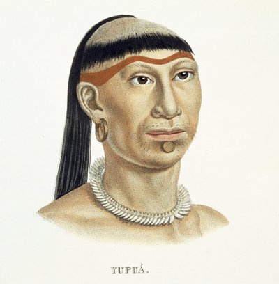 Domorodý muž kmene Yupua s oškubanými a oholenými vlasy a náhrdelníkem ze zvířecích zubů, z Atlasu cesty po Brazílii od Johanna Baptisty von Spixe (1781-1826) a Karla Friedricha Philippa Mara. od German School