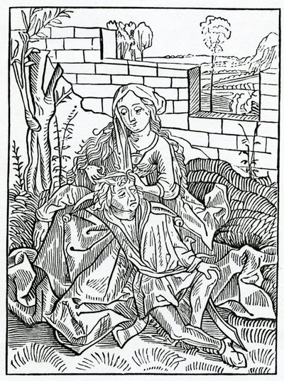 O chybách, které si nemohou udržet své vlastní rady, ilustrace z anglického překladu Alexandra Barclaye „The Ship of Fools“, z vydání vydaného v roce 1874 od German School