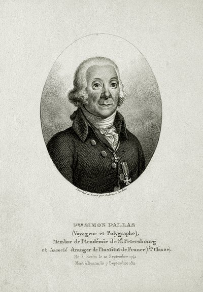 Petr Šimon Pallas. (1741 – 1811) (Čárová rytina) od German School