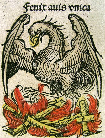 Phoenix publikoval v Norimberské kronice, 1493 od German School