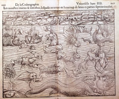 Deska představující všechny typy mořských a pozemských monster nalezených v severních oblastech: Xilografie převzatá z Universal Cosmography Sebastiena Munstera. Žok od German School
