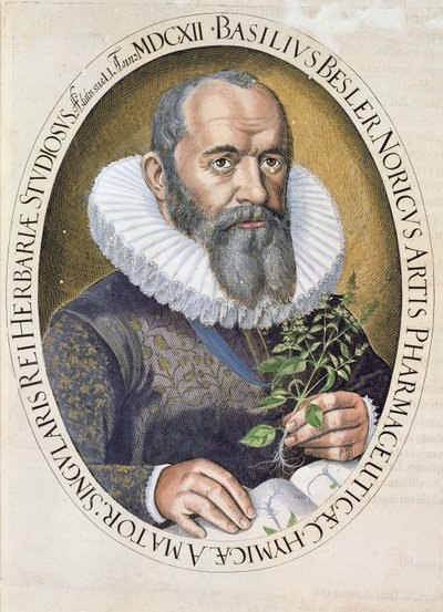 Portrét Basila Beslera (1561-1629) v roce 1612, z hospody Hortus Eystettensis. 1613 od German School