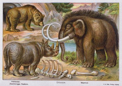 Prehistoričtí savci (barevná litografie) od German School