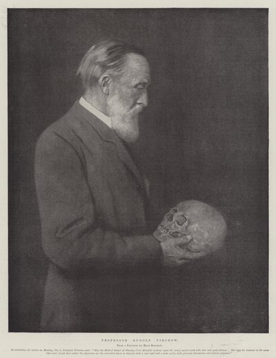 Profesor Rudolf Virchow (litho) od German School