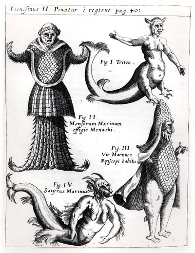 Mořské příšery, ilustrace z Physica Curiosa od Gaspara Schotta S.J. (1608-66), publikoval Würzburg 1662 od German School