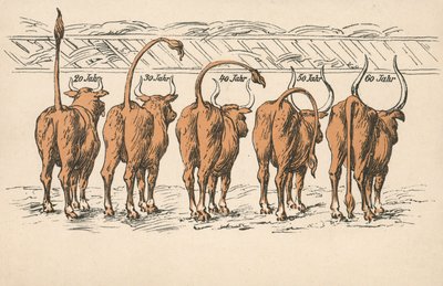 Účinky stárnutí (barevná litografie) od German School