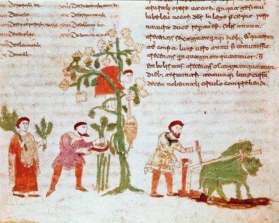 Čtyři roční období: scéna orby a sběru hroznů (sklizeň). Miniatura z rukopisu „“De Universo““ (nebo De rerum naturis (O přirozenosti věcí) (kód. 132) od Rabana Maura Magnentia (nebo Rabana Maura nebo Rabana Maura) (asi 780-856). od German School