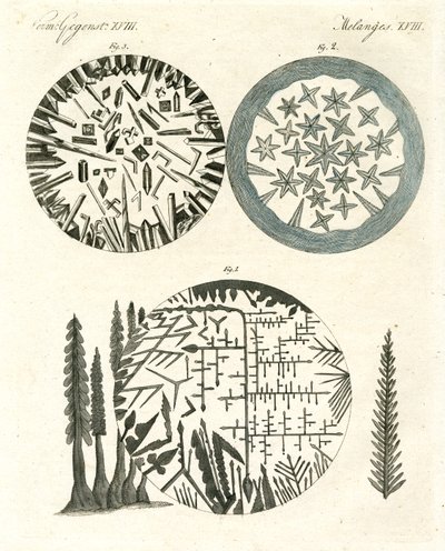 Ananas od German School