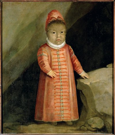 Syn Petra Gonzalvuse byl v roce 1596 vyšetřován ... od German School