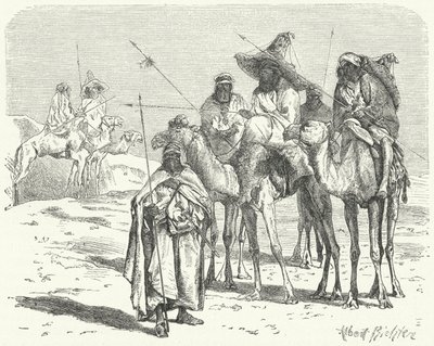 Tuaregové (rytina) od German School
