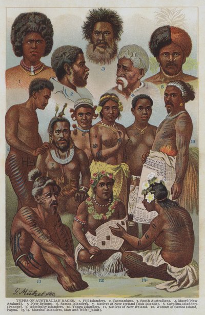 Typy australských ras (barevné litho) od German School