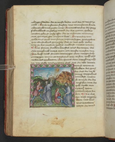 Ulrich von Pottenstein, The Book of Natural Wisdom, Egerton MS 1121 f.114v, c.1430 (inkoust a barva na pergamenu) od German School