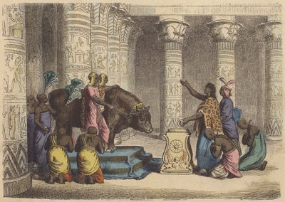 Uctívání býka Apisa ve starověkém Egyptě (barevná rytina) od German School
