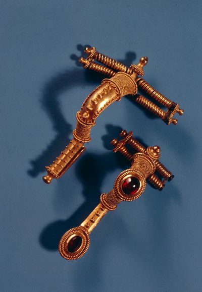 Dvě zakřivené brože, z Hassleben, Durynsko (zlato a drahokamy) od Germanic