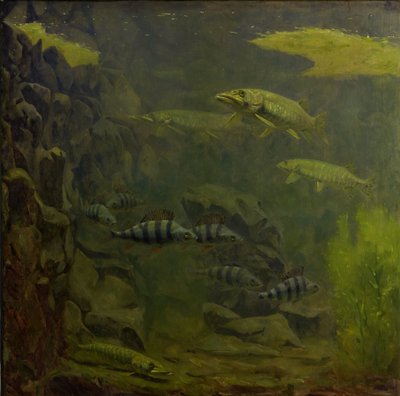 Štika a okouni v akváriu od Gerrit Willem Dijsselhof