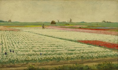 Tulipánová pole od Gerrit Willem Dijsselhof