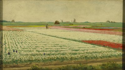 Tulipánová pole od Gerrit Willem Dijsselhof