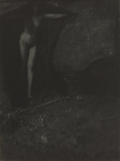 Netopír od Gertrude Käsebier