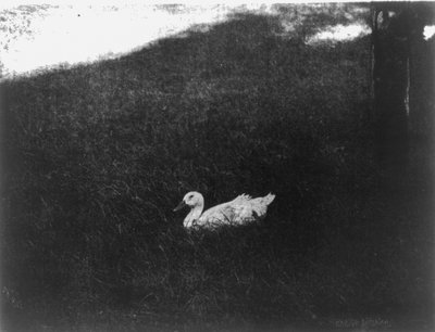 Jednoduchý život od Gertrude Kasebier od Gertrude Käsebier