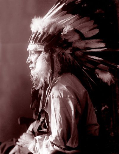 Whirlwind Horse od Gertrude Käsebier