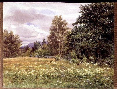 Louka-sladká poblíž Polchar, Aviemore, Skotsko od Gertrude Martineau