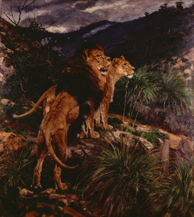 Lions Stalking (olej na plátně) od Geza Vastagh