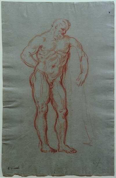 Studie podle postavy Farnese Herkula od Giacinto Calandrucci